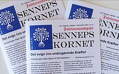 NL_2022-19_Daenemark__BDM-Publikation_Senfkorn__alt