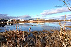 NL_2024-15_Alaska