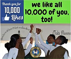 NL_2021-02_Surinam__Facebook-Seiten-Likes