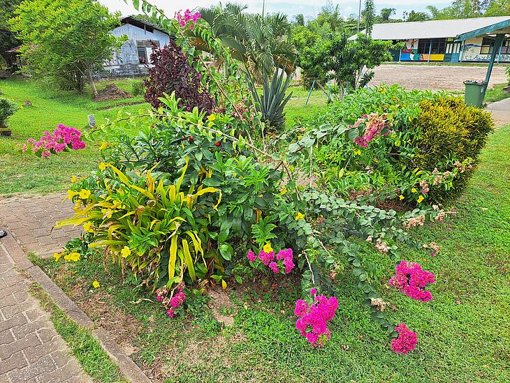Surinamereise_2026_15