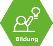 Wabe_Bildung_weisser_Hintergrund