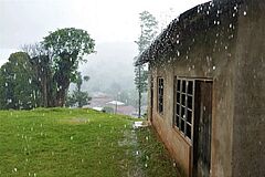 NL_2021-07_Tansania__Isoko__Regenzeit_2021