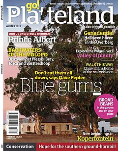 NL_2022-12_Suedafrika__Titel_des_Magazins_go__Platteland