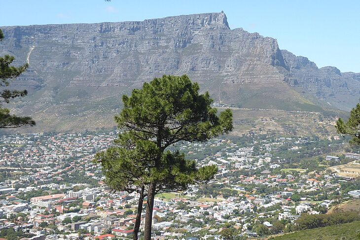 SA_Land_1